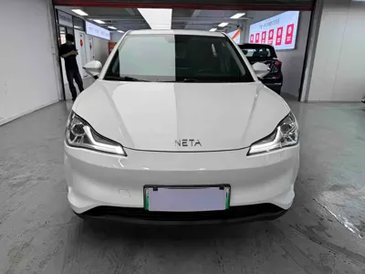 NETA Neta V
