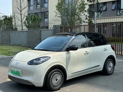 Wuling Bingo
