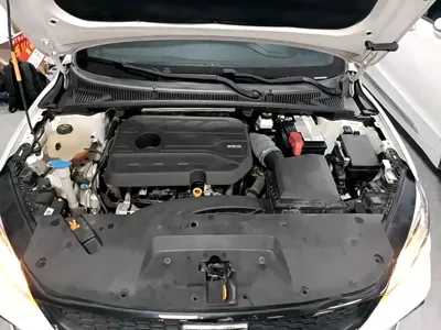 Geely Binrui