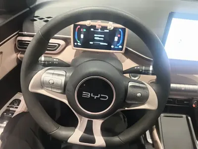 BYD Seagull