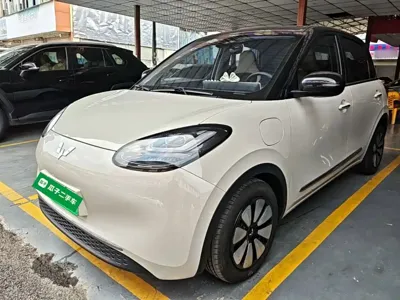 Wuling Bingo