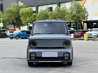 Galaxy Panda