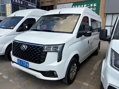 Maxus V80