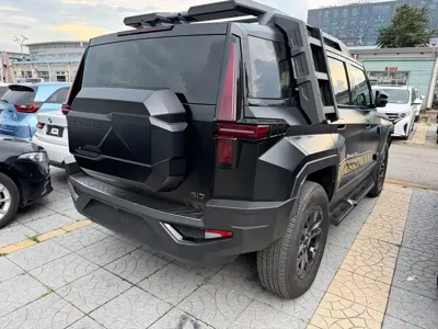 Mengshi Mengshi 917
