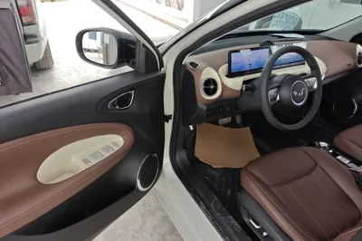 Wuling Bingo