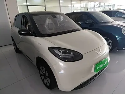 Wuling Bingo