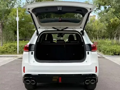 WEY Wey VV6