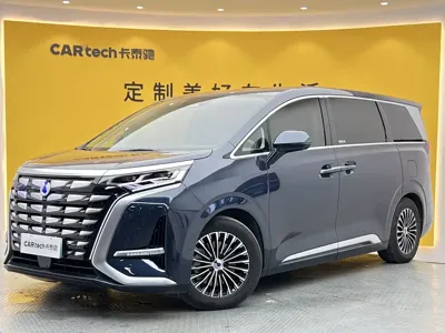 Denza Denza D9