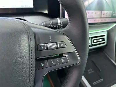 BYD L DM-i