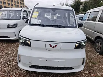 Wuling Zhiguang EV