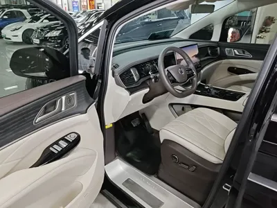 Denza D9