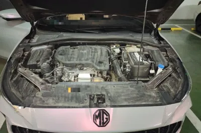 MG 5