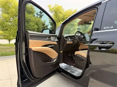 Denza Denza D9