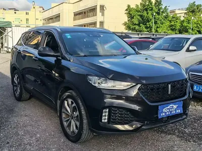WEY Wey VV6