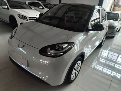Wuling Bingo