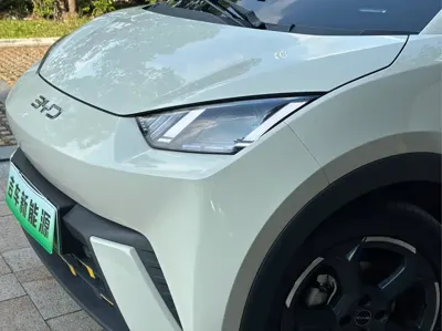 BYD Seagull