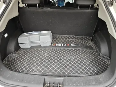 NETA Neta V