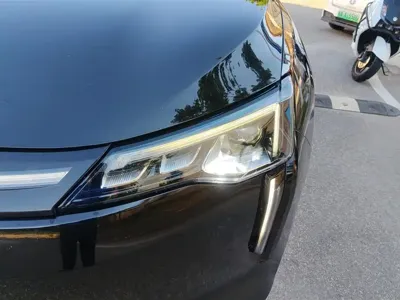 WM Motor W6