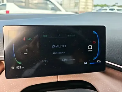 BYD Seagull