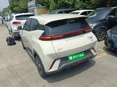 BYD Seagull