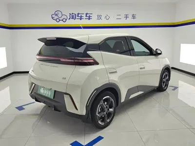 BYD Seagull