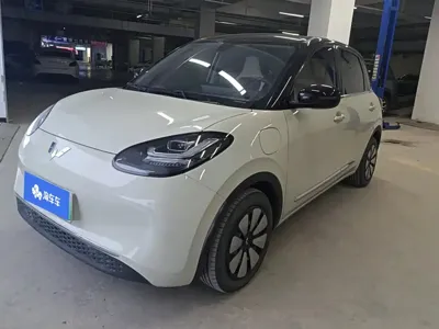 Wuling Bingo