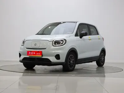 Leapmotor Leapmotor T03