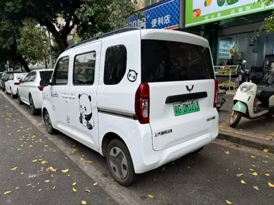 Wuling Zhiguang EV