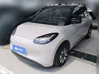 Wuling Bingo