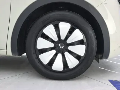 Wuling Bingo