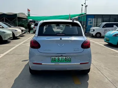 Wuling Bingo