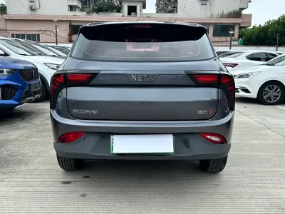 NETA Neta V