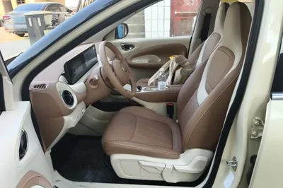 Wuling Bingo