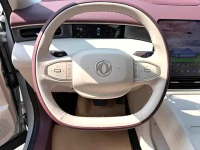 Aeolus 东风风神L8