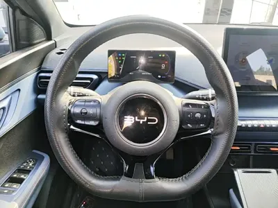 BYD Seagull