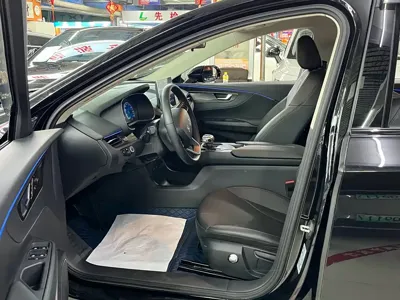 Hongqi Hongqi E-QM5