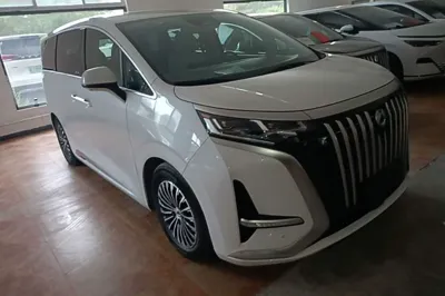 Denza D9