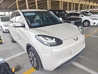 Wuling Bingo