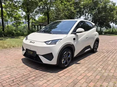 BYD Seagull