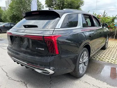 Hongqi Hongqi E-HS9