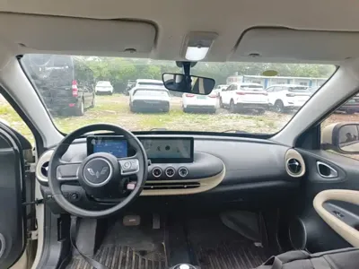 Wuling Bingo