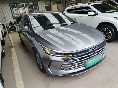 BYD Destroyer 05