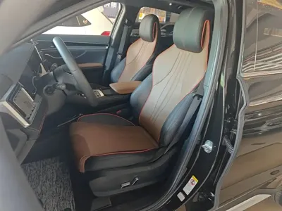 BYD PLUS