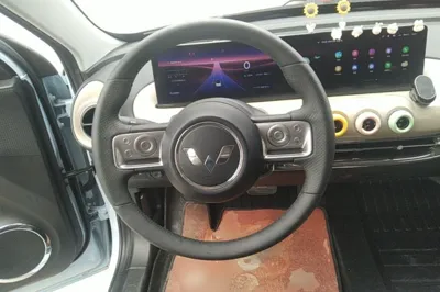 Wuling Bingo