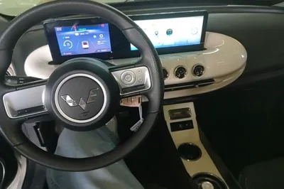 Wuling Bingo