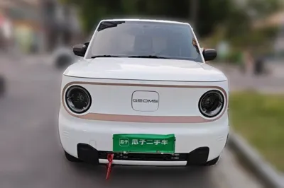 Geely Galaxy Panda