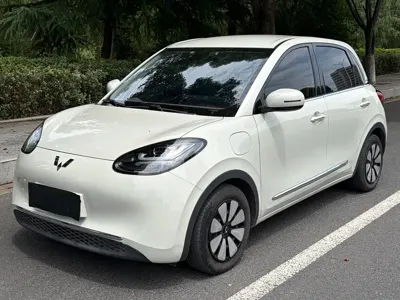 Wuling Bingo