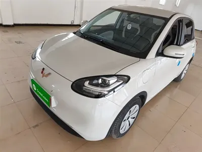 Wuling Bingo