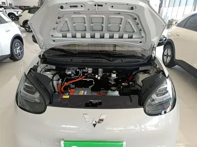 Wuling Bingo