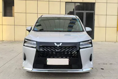 Wuling Wuling Starlight 730